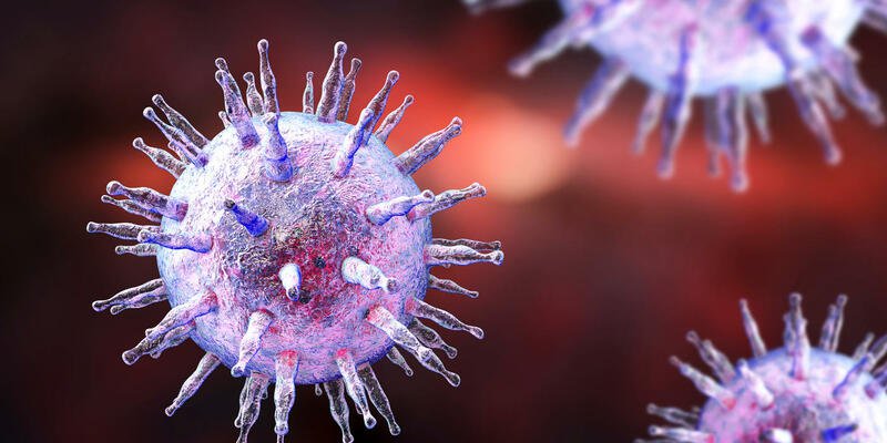 Virus EBV gây bệnh gì?