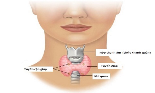 Dấu hiệu ung thư tuyến giáp giai đoạn đầu