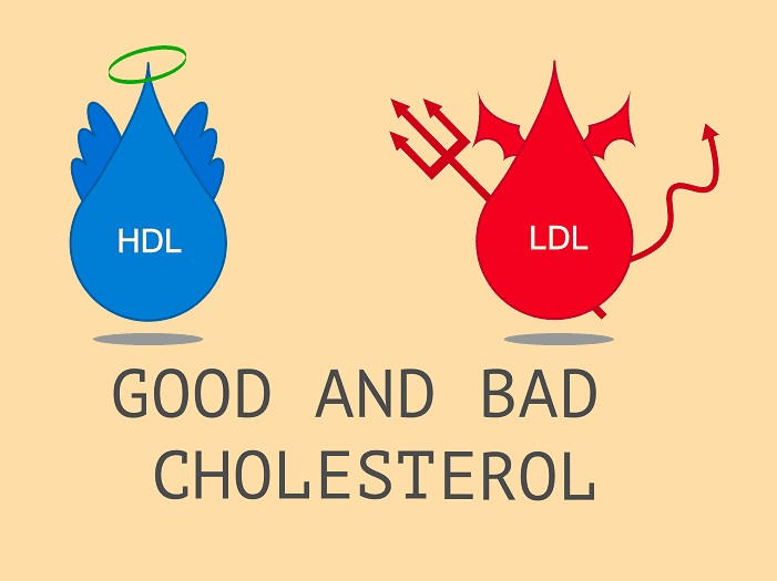 Cholesterol là gì? Có mấy loại cholesterol ?