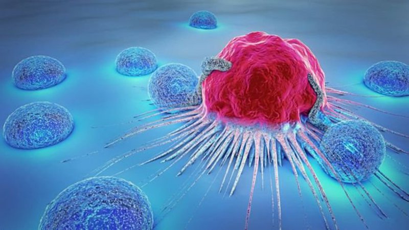Một số yếu tố thường khảo sát trong dịch tễ học ung thư