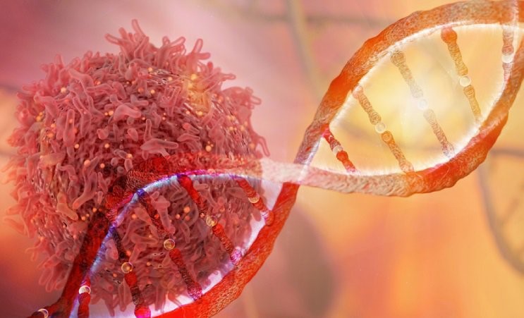 Bệnh ung thư có thể được hình thành từ các loại gen gây ung thư